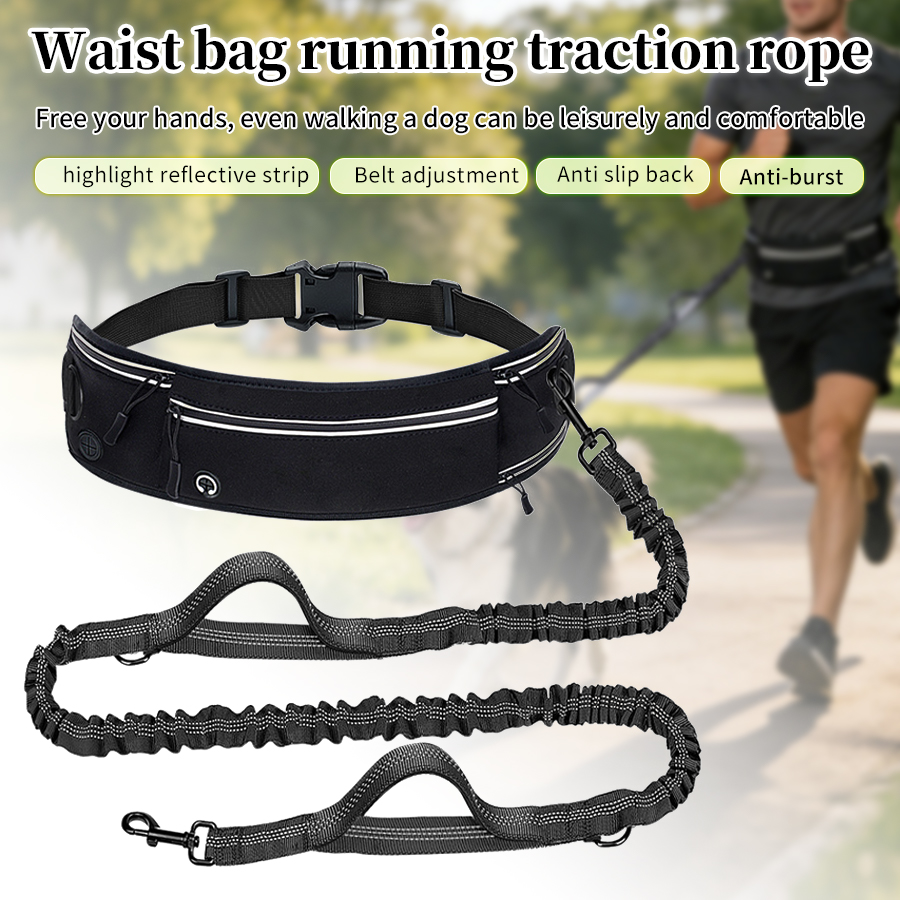 Running Gear Holder - Foldable Reflective Dog Leash with Waist
