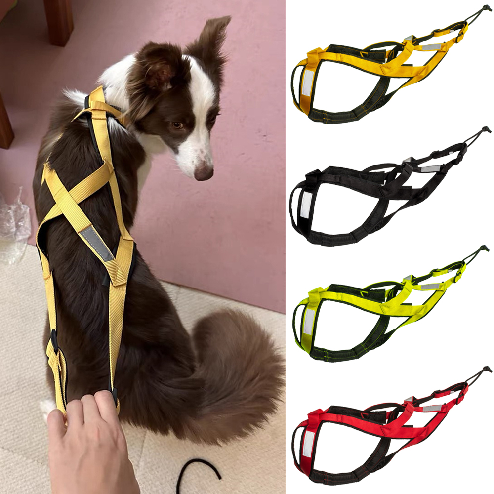 High Quality Big Dog Sledge Ha - Running Gear Dog avis et prix