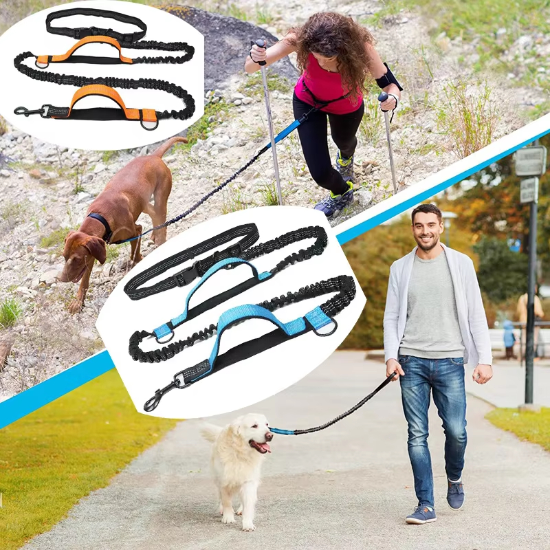 Double elastic reflective runn - Running Gear Dog avis et prix