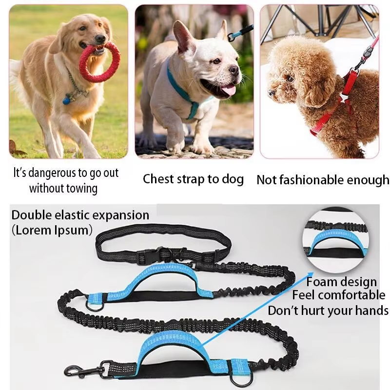 Double elastic reflective runn - Running Gear Dog avis et prix