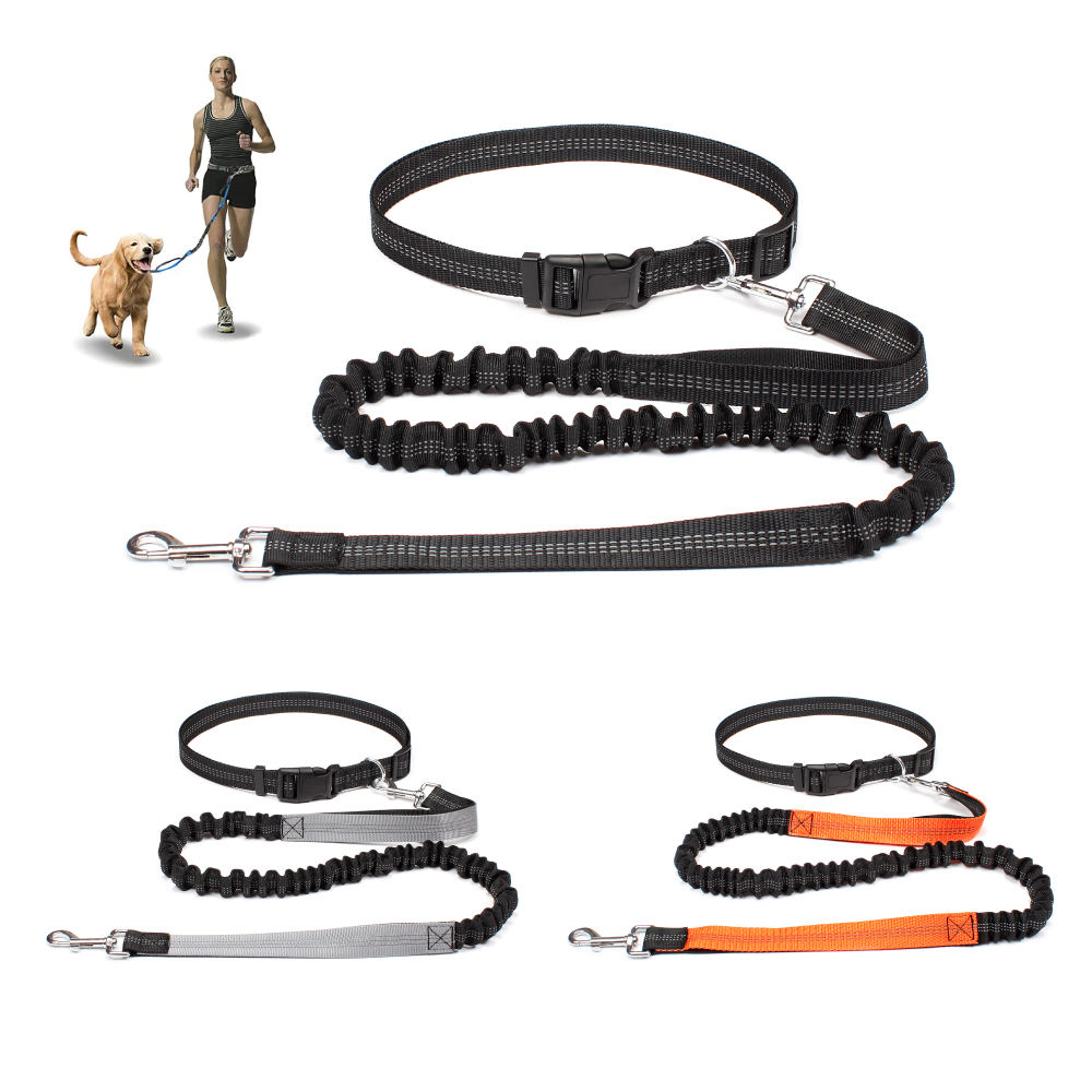 Hand Free Dog Leash for Pet Wa - Running Gear Holder avis et prix