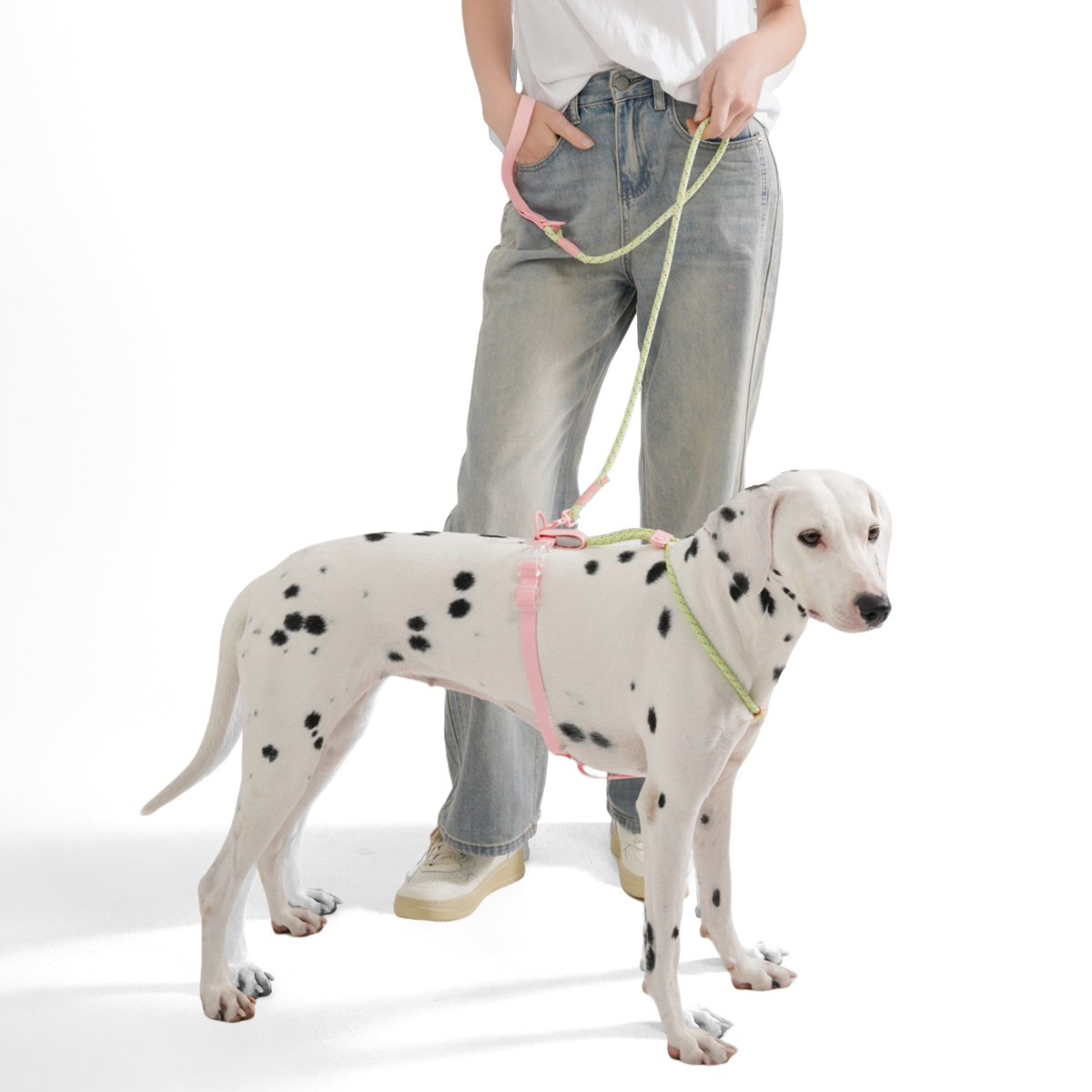 Small And Medium Dogs Harness  - Running Gear Dog avis et prix