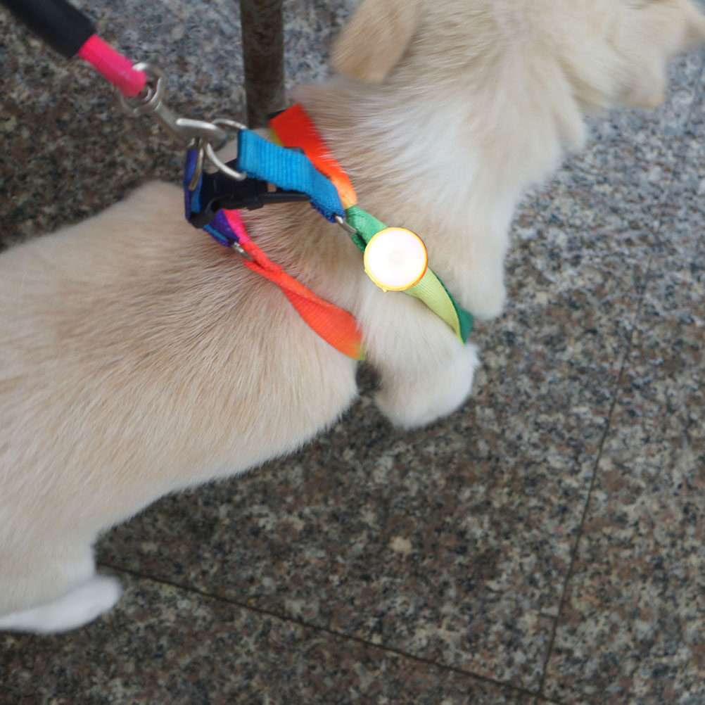 Multifunctional LED Running Wr - Running Gear Dog avis et prix