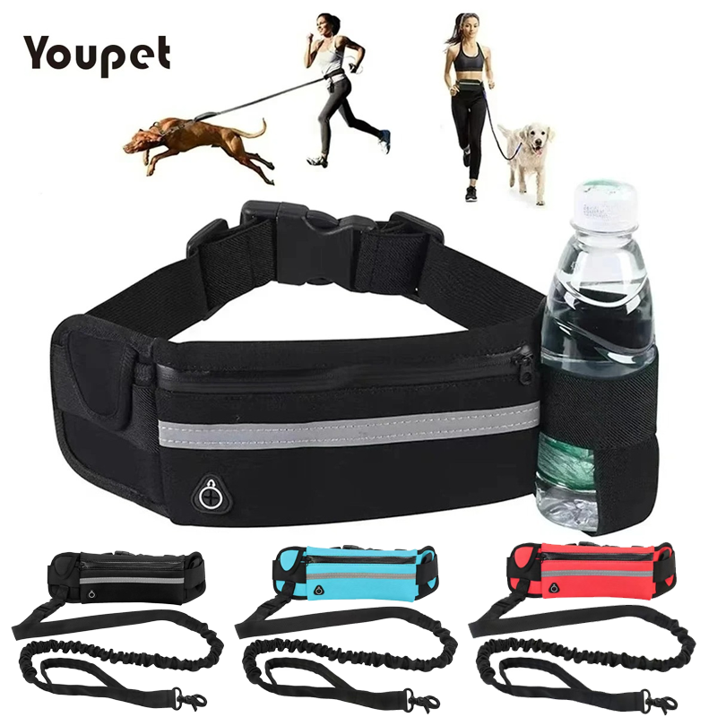 Dog Running Waist Leash Nylon  - Running Gear Holder avis et prix