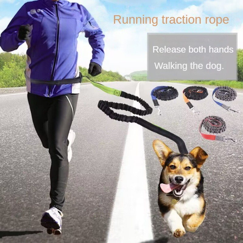 Hand Free Dog Leash for Pet Wa - Running Gear Holder avis et prix