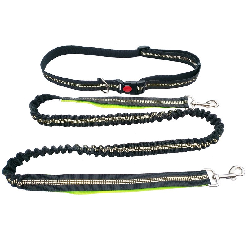 Hand Free Dog Leash for Pet Wa - Running Gear Holder avis et prix