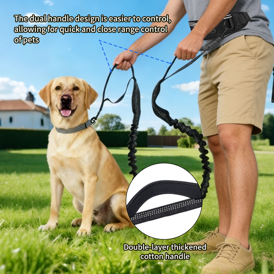 Foldable Reflective Dog Leash  - Running Gear Holder avis et prix