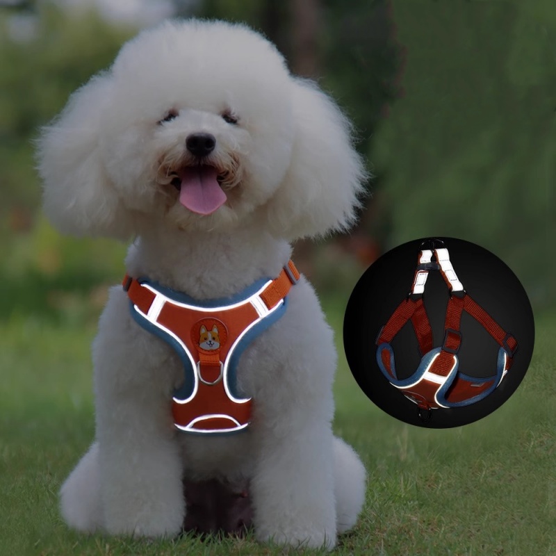 Adjustable No Pull Reflective  - Running Gear Dog avis et prix