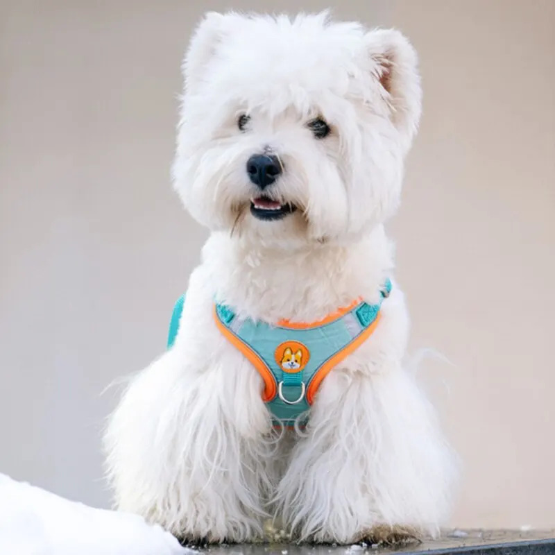 Adjustable No Pull Reflective  - Running Gear Dog avis et prix