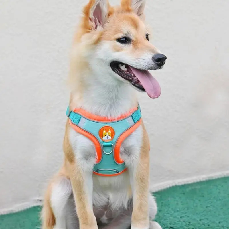 Adjustable No Pull Reflective  - Running Gear Dog avis et prix